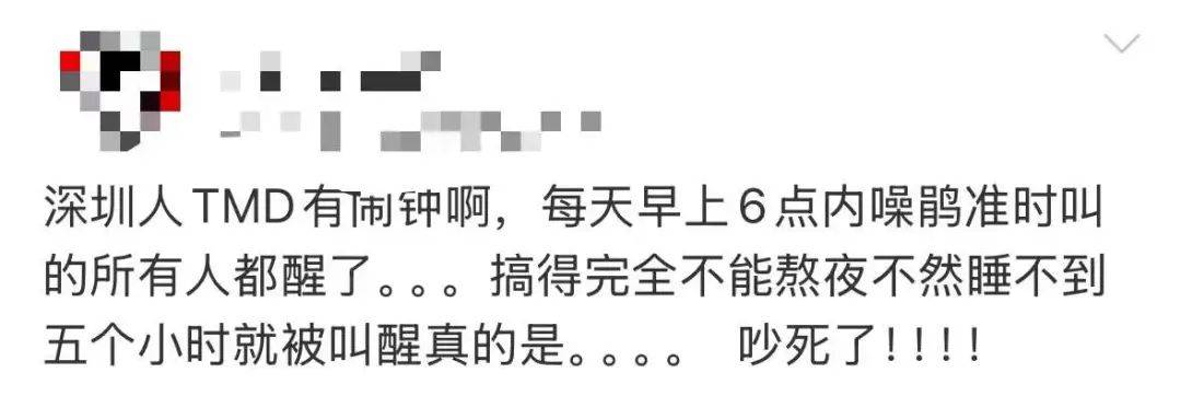 “周末想睡个懒觉都不行”<strong></p>
<p>币乎交易平台</strong>，有多少深圳人被这种鸟吵到神经衰弱