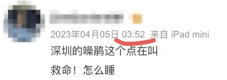 “周末想睡个懒觉都不行”<strong></p>
<p>币乎交易平台</strong>，有多少深圳人被这种鸟吵到神经衰弱