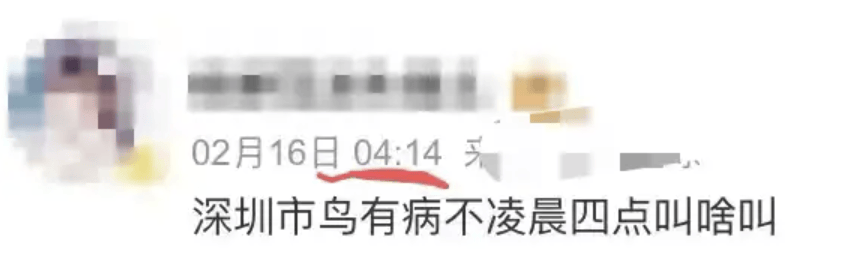 “周末想睡个懒觉都不行”<strong></p>
<p>币乎交易平台</strong>，有多少深圳人被这种鸟吵到神经衰弱