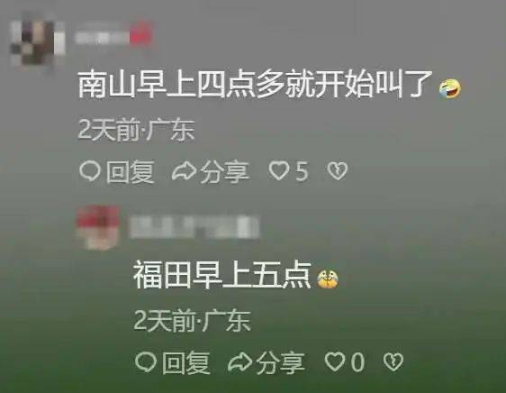 “周末想睡个懒觉都不行”<strong></p>
<p>币乎交易平台</strong>，有多少深圳人被这种鸟吵到神经衰弱