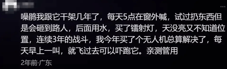 “周末想睡个懒觉都不行”<strong></p>
<p>币乎交易平台</strong>，有多少深圳人被这种鸟吵到神经衰弱