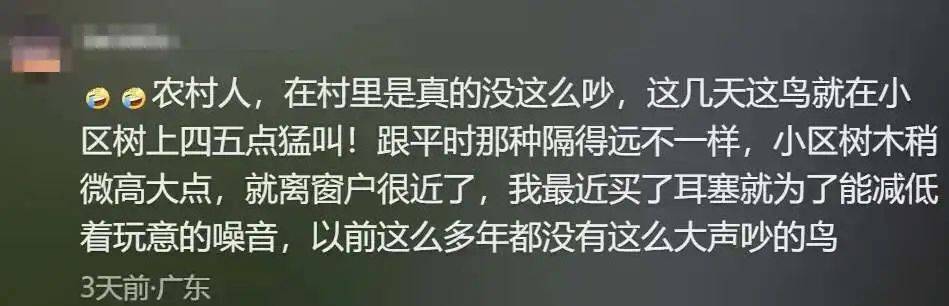 “周末想睡个懒觉都不行”<strong></p>
<p>币乎交易平台</strong>，有多少深圳人被这种鸟吵到神经衰弱