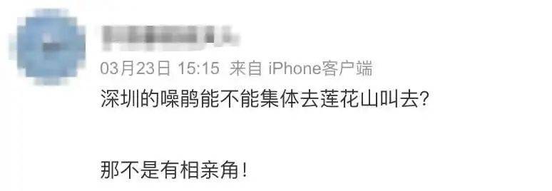 “周末想睡个懒觉都不行”<strong></p>
<p>币乎交易平台</strong>，有多少深圳人被这种鸟吵到神经衰弱