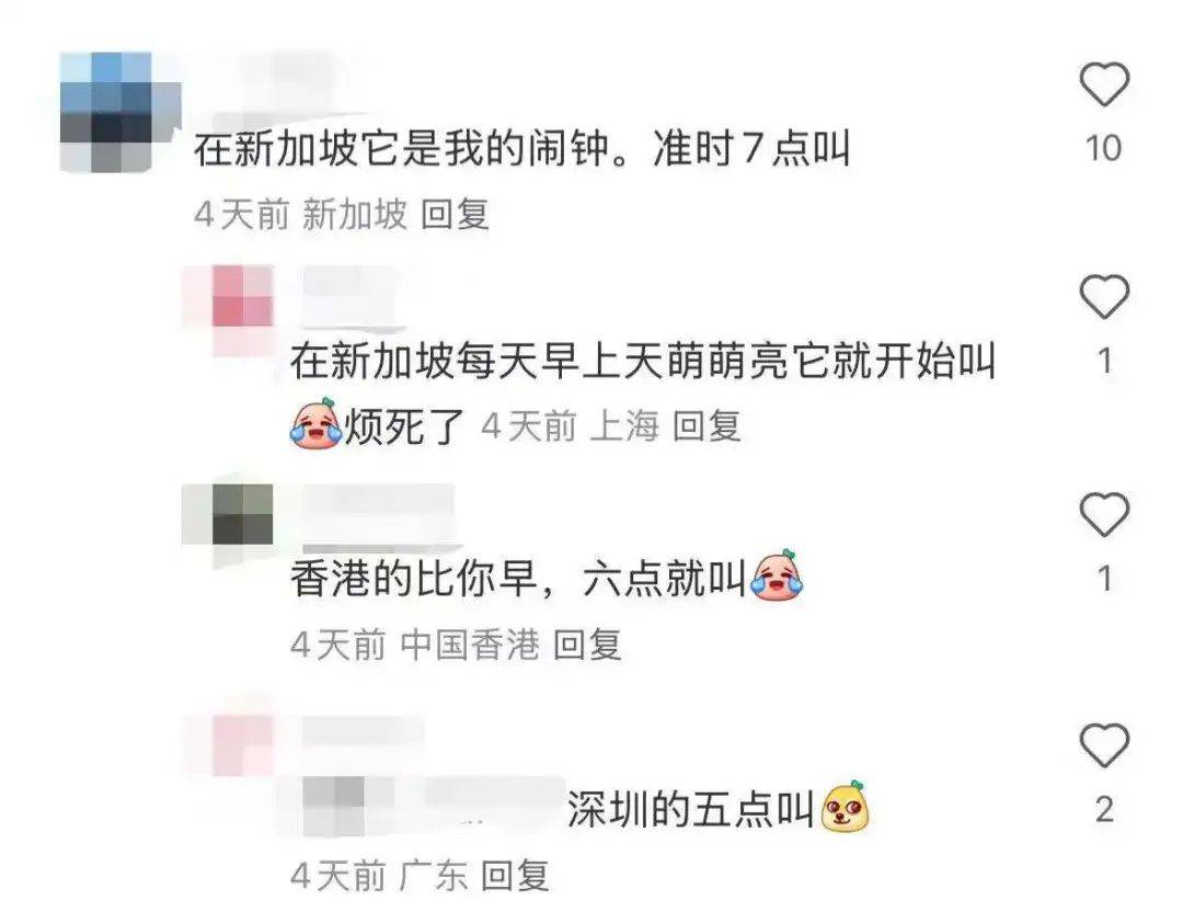 “周末想睡个懒觉都不行”<strong></p>
<p>币乎交易平台</strong>，有多少深圳人被这种鸟吵到神经衰弱