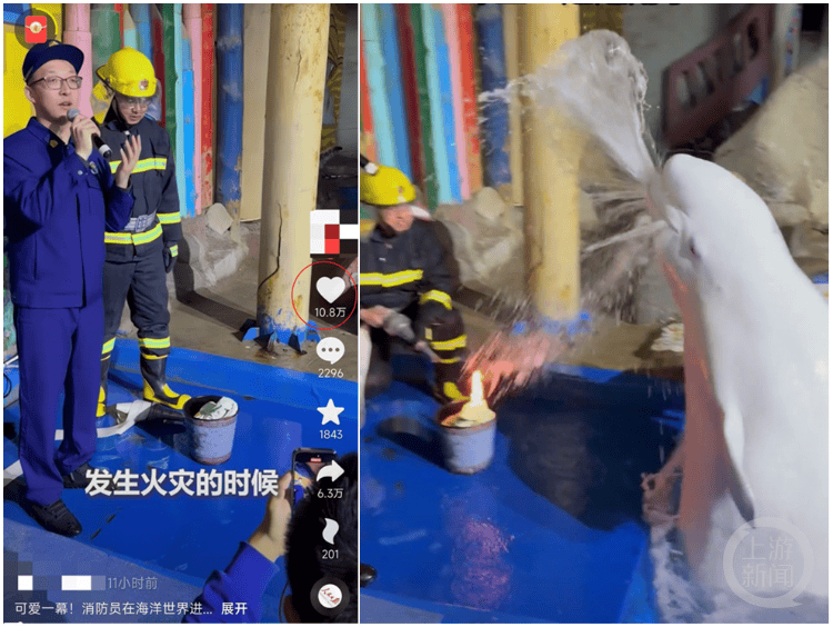 大连一海洋世界消防演练时白鲸喷水灭火<strong></p>
<p>百币网交易平台app</strong>，工作人员：它智商很高，看到危险会喷水