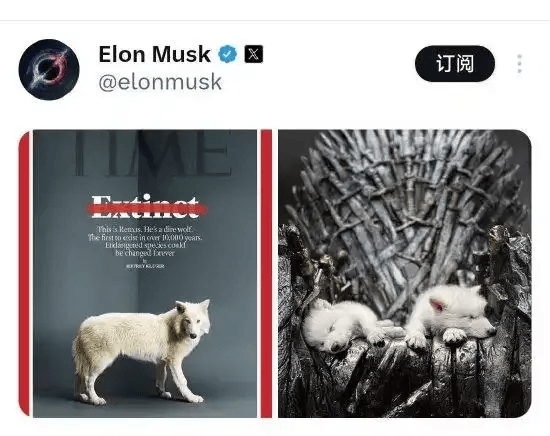 《权力的游戏》中的冰原狼被这家公司复活<strong></p>
<p>币安交易平台网下载</strong>，马斯克发帖关注