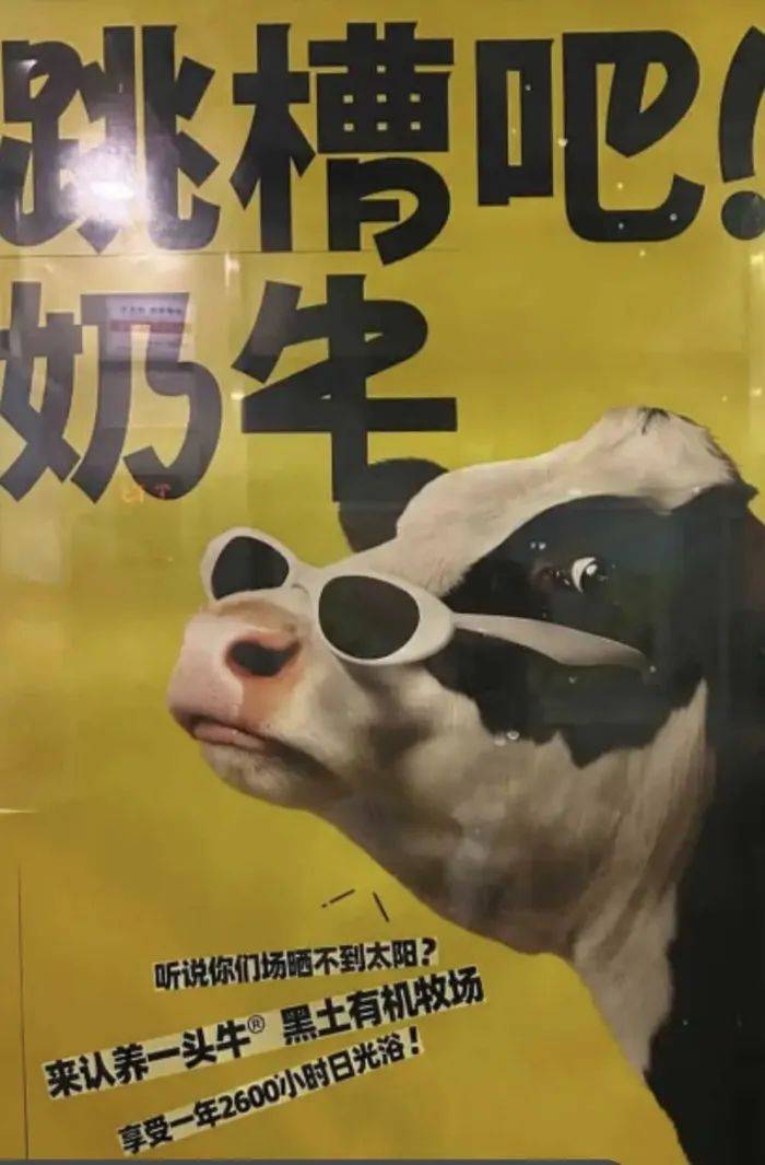 认养一头牛广告被质疑讽刺打工人<strong></p>
<p>qpex交易平台</strong>，公司回应：致敬BOSS直聘