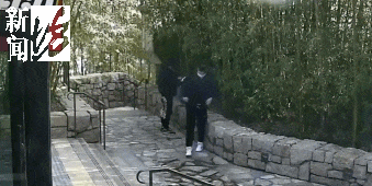 太猖狂！事发上海迪士尼<strong></p>
<p>交易玉器平台</strong>，7人被刑拘