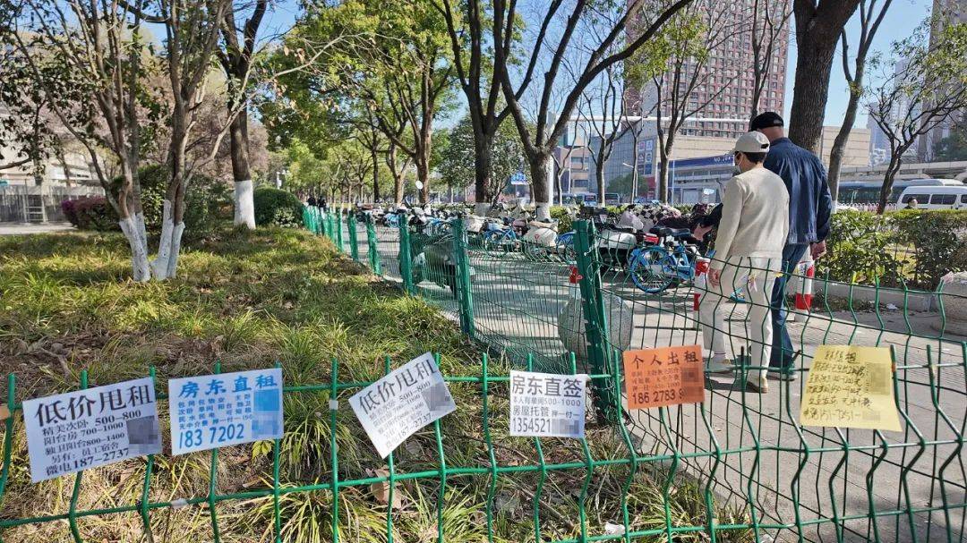 一二线城市房租普降<strong></p>
<p>交易玉器平台</strong>，房东主动降200留我