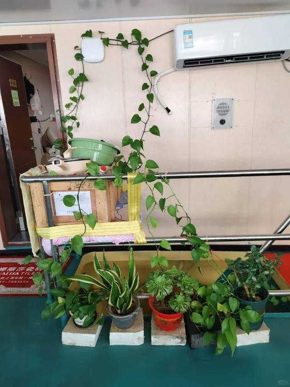 独家丨远洋渔船船长被害案嫌犯移送检方报捕<strong></p>
<p>交易玉器平台</strong>，船上两段视频曝光