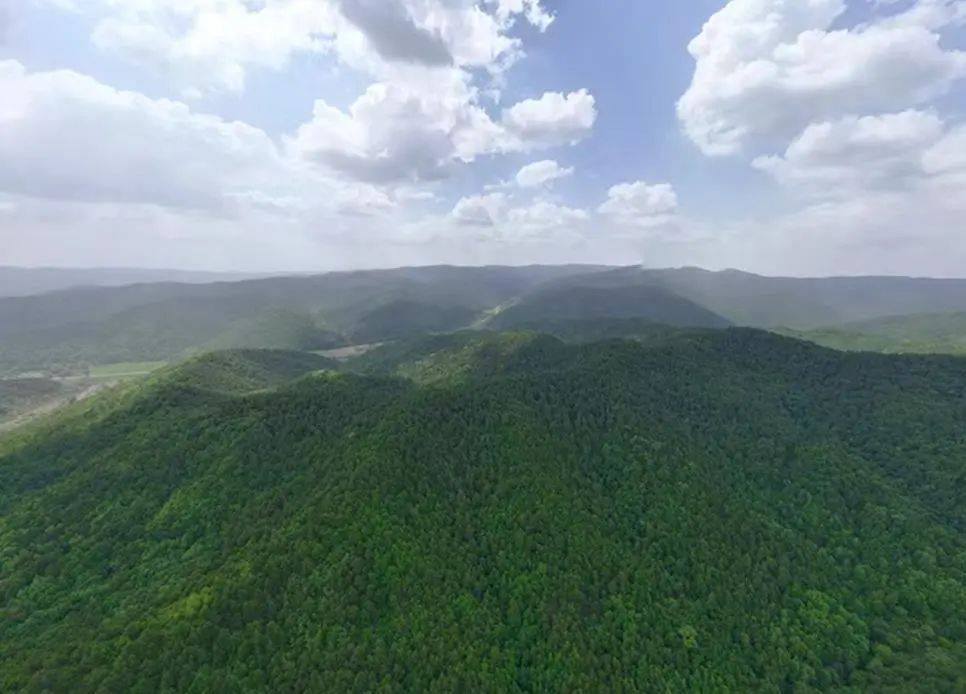 销声匿迹已有30年<strong></p>
<p>bitbay交易平台</strong>，华北豹正逐渐接近北京——