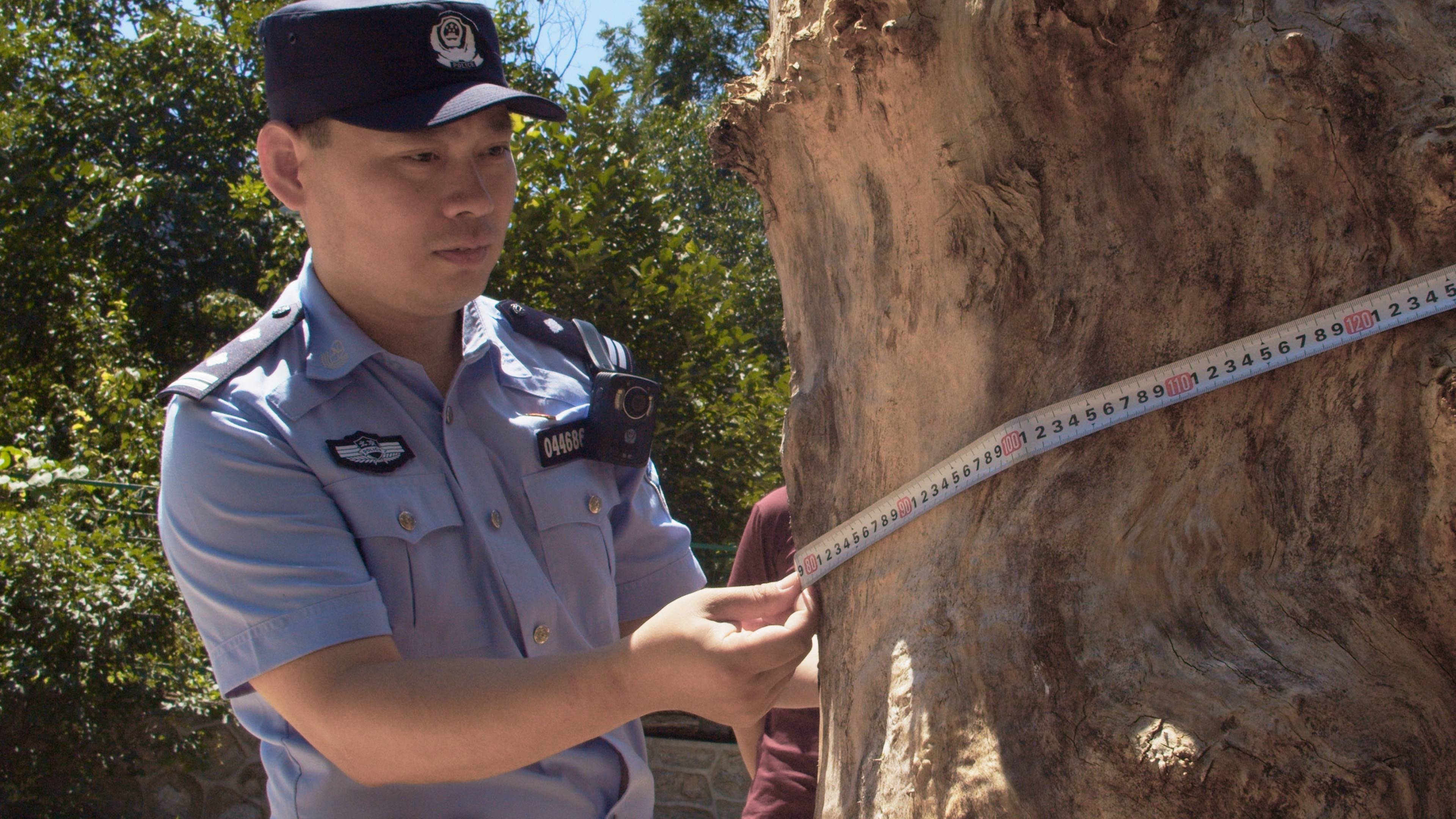 森林警察韩孟祺：乔装成驴友潜伏密林中<strong></p>
<p>exx交易平台怎么样</strong>，抓获“粘鸟”嫌疑人