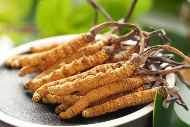 价值18万余元！男子在祁连山非法收购5632根冬虫夏草<strong></p>
<p>bcex交易平台下载</strong>，构成危害国家重点保护植物罪获刑