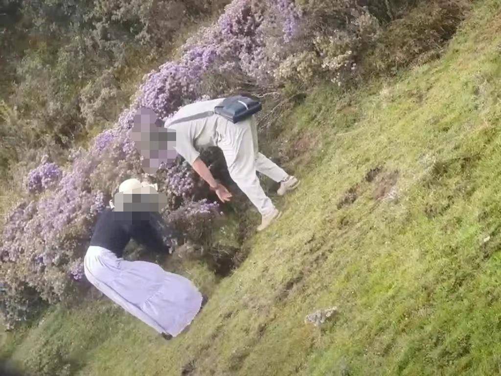 两游客在景区盗挖索玛花 警方：给予行政处罚，两人认识到错误并作郑重道歉