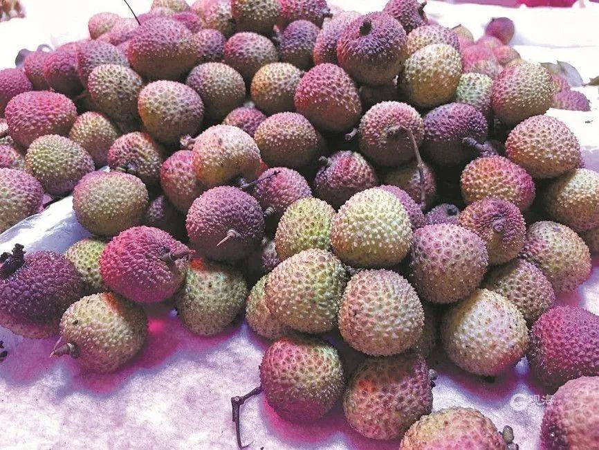 大跳水<strong></p>
<p>群币网交易平台</strong>，暴跌40%！老板：一天一个价，估计还要跌