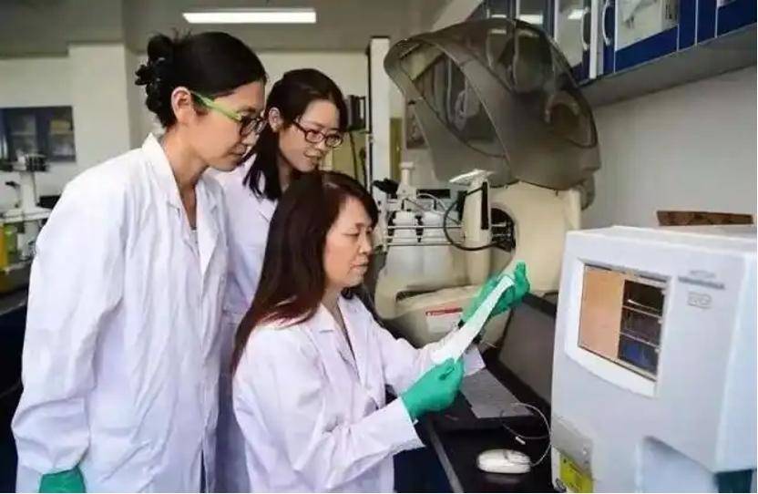 深挖 | “西北大学副校长范代娣成陕西首富”系乌龙<strong></p>
<p>gbcax交易平台</strong>，但她的人生如同开挂