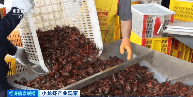 价格暴跌近50%<strong></p>
<p>bitbulls交易平台</strong>！“接下来还会降”！青岛正大量上市……