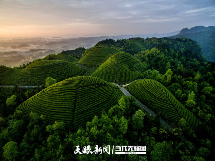 从4132亿到1.31万亿<strong></p>
<p>bitbulls交易平台</strong>！贵州县域经济“兴”动山海