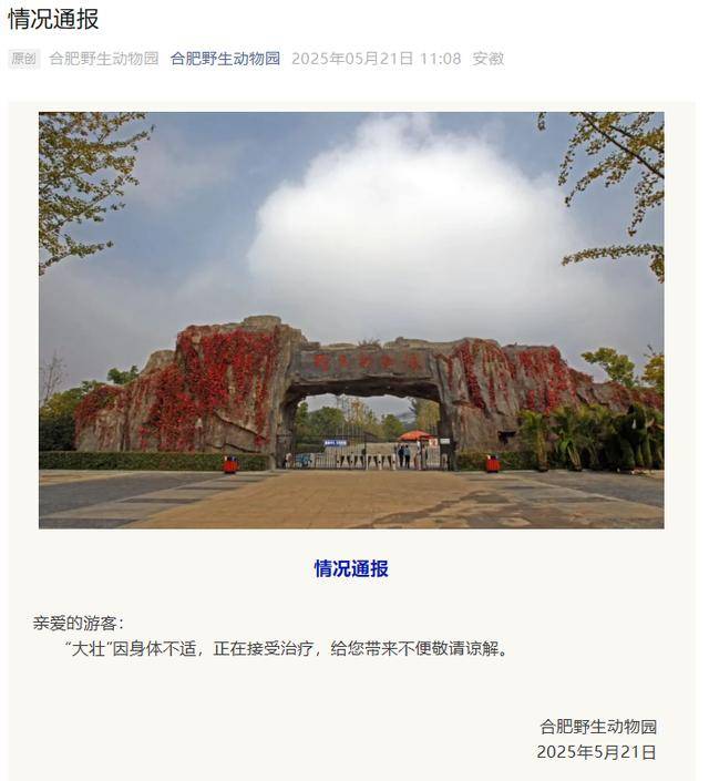 网红猴“大壮”突然离世<strong></p>
<p>国内交易平台bter</strong>！曾因方脸“丑”出圈