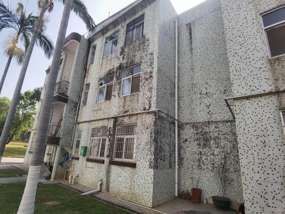 深化双拥共建，平湖街道部队小区旧改“逆生长”