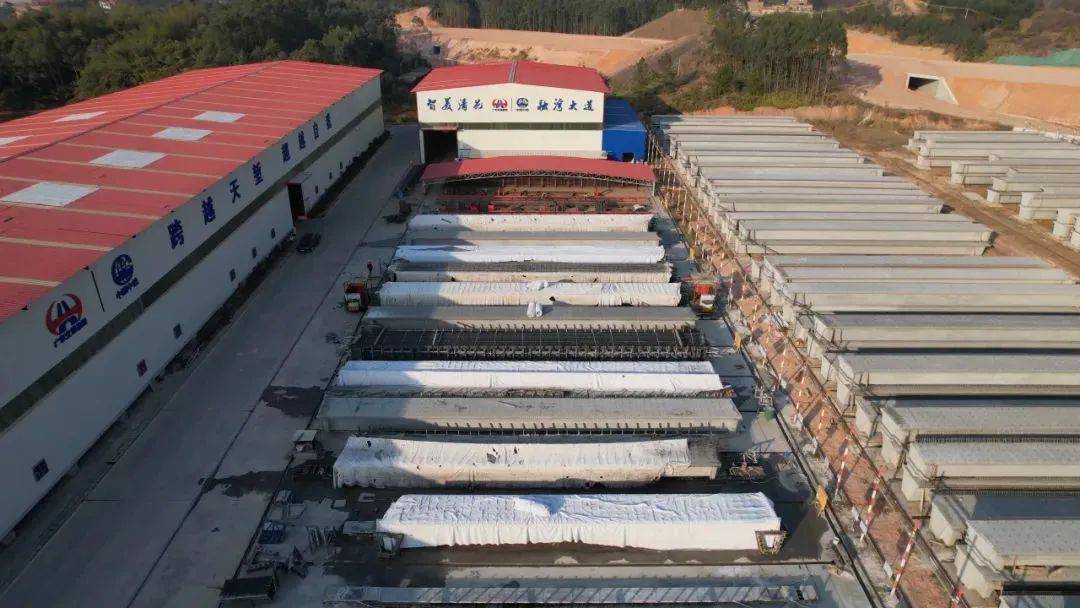 明天起开行<strong></p>
<p>双子星平台</strong>！广东城际“特快”列车来了