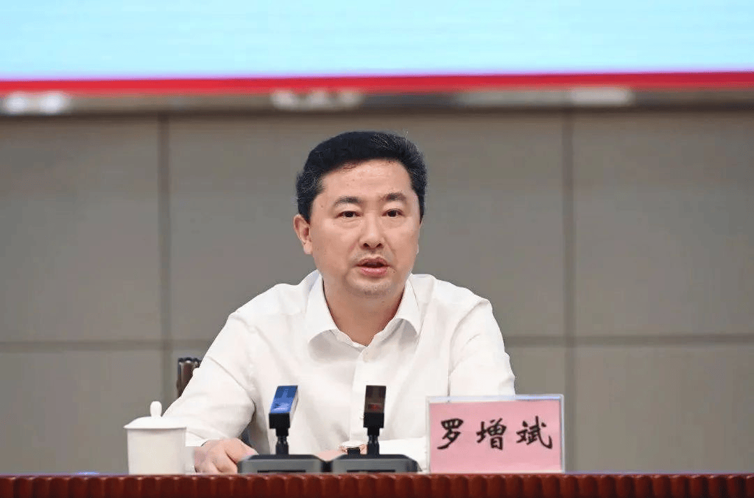 同日宣布<strong></p>
<p>双子星平台</strong>，两虎被双开！