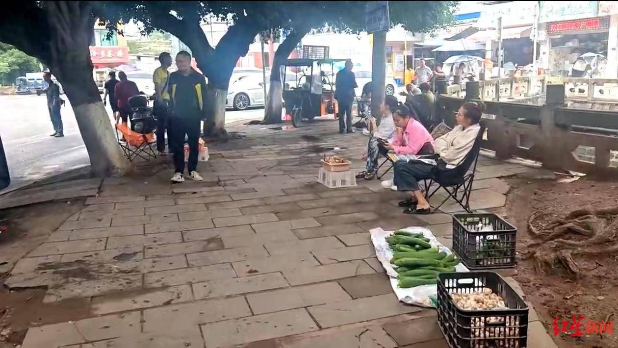 “天价”鸡枞调查：最贵卖到1800元/公斤！雨水少致产量低<strong></p>
<p>宁夏电力交易中心平台</strong>，多地价高客少