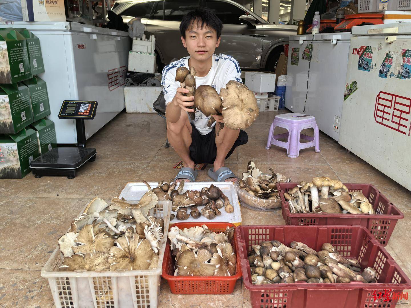 “天价”鸡枞调查：最贵卖到1800元/公斤！雨水少致产量低<strong></p>
<p>宁夏电力交易中心平台</strong>，多地价高客少