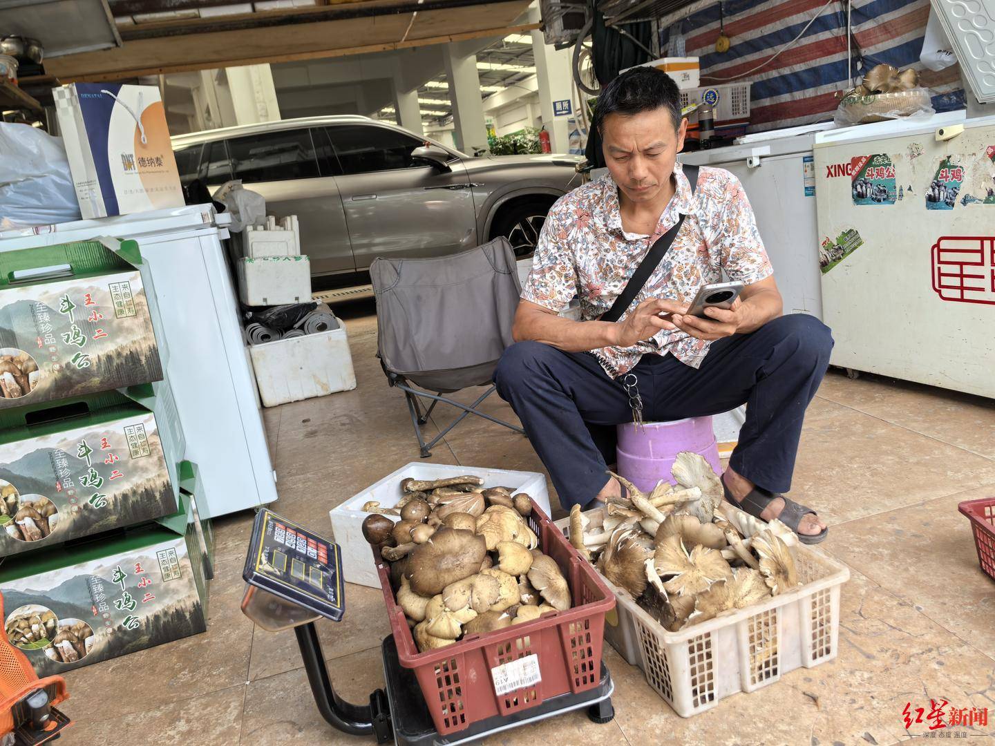 “天价”鸡枞调查：最贵卖到1800元/公斤！雨水少致产量低<strong></p>
<p>宁夏电力交易中心平台</strong>，多地价高客少