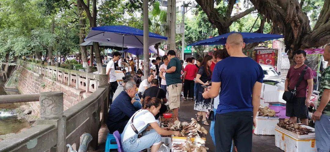 “天价”鸡枞调查：最贵卖到1800元/公斤！雨水少致产量低<strong></p>
<p>宁夏电力交易中心平台</strong>，多地价高客少