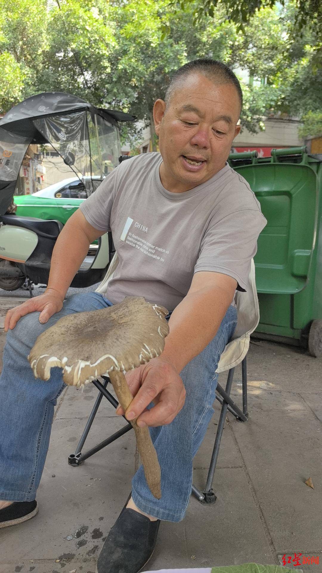 “天价”鸡枞调查：最贵卖到1800元/公斤！雨水少致产量低<strong></p>
<p>宁夏电力交易中心平台</strong>，多地价高客少