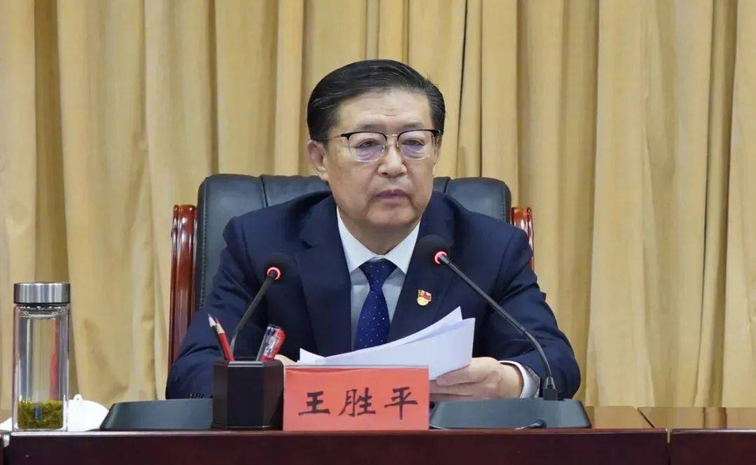 王胜平<strong></p>
<p>宁夏电力交易中心平台</strong>，被查