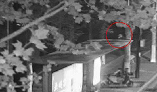 江苏一男子戴仿真“人皮”面具入室盗窃<strong></p>
<p>宁夏电力交易中心平台</strong>，流窜多个小区作案，涉案金额达15万余元