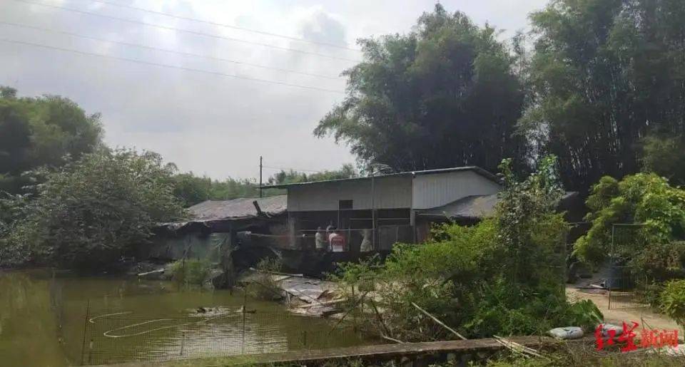 男子杀害母亲和女友后带嫂嫂潜逃32年落网<strong></p>
<p>宁夏电力交易中心平台</strong>，两人育有一儿一女，侦破细节披露