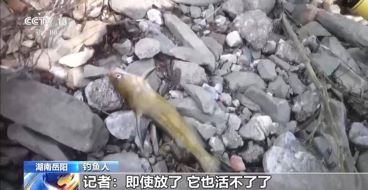 保护区里的“疯狂垂钓”屡禁不止<strong></p>
<p>宁夏电力交易中心平台</strong>！记者调查