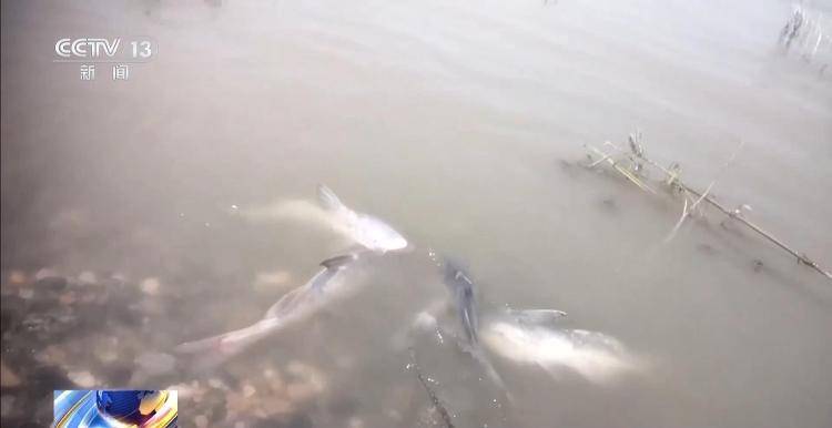 保护区里的“疯狂垂钓”屡禁不止<strong></p>
<p>宁夏电力交易中心平台</strong>！记者调查