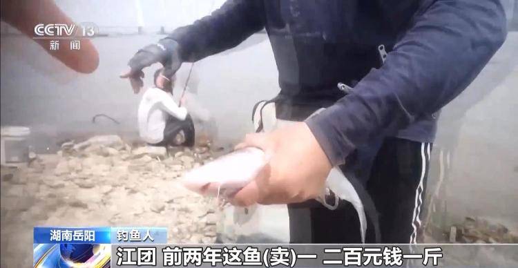 保护区里的“疯狂垂钓”屡禁不止<strong></p>
<p>宁夏电力交易中心平台</strong>！记者调查