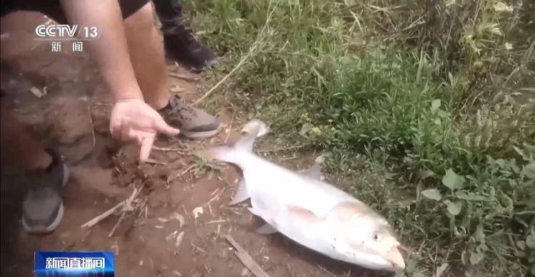 保护区里的“疯狂垂钓”屡禁不止<strong></p>
<p>宁夏电力交易中心平台</strong>！记者调查