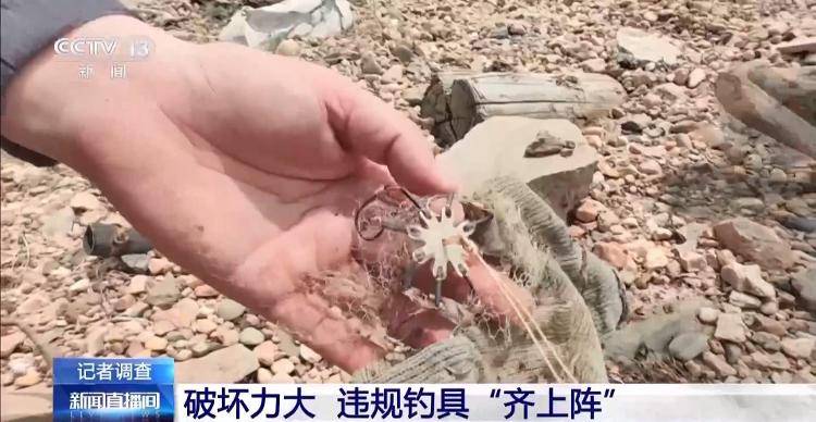 保护区里的“疯狂垂钓”屡禁不止<strong></p>
<p>宁夏电力交易中心平台</strong>！记者调查