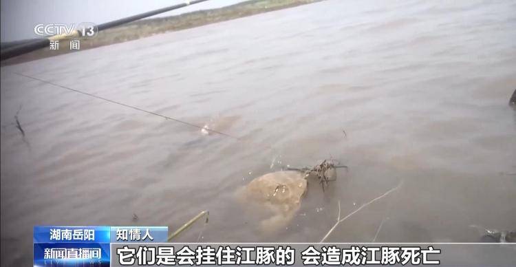 保护区里的“疯狂垂钓”屡禁不止<strong></p>
<p>宁夏电力交易中心平台</strong>！记者调查