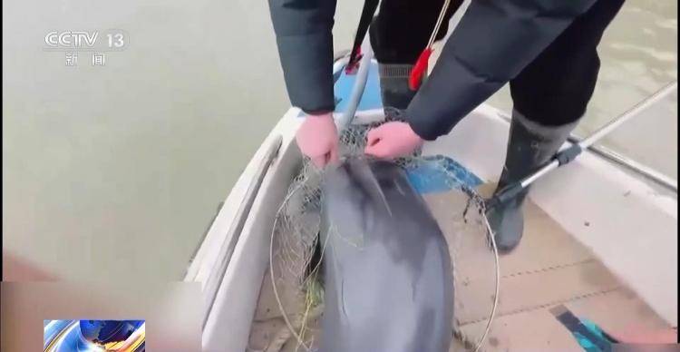 保护区里的“疯狂垂钓”屡禁不止<strong></p>
<p>宁夏电力交易中心平台</strong>！记者调查