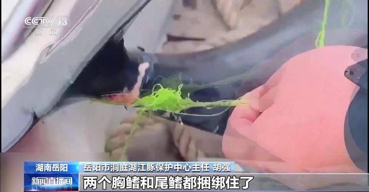 保护区里的“疯狂垂钓”屡禁不止<strong></p>
<p>宁夏电力交易中心平台</strong>！记者调查