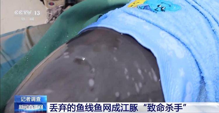 保护区里的“疯狂垂钓”屡禁不止<strong></p>
<p>宁夏电力交易中心平台</strong>！记者调查