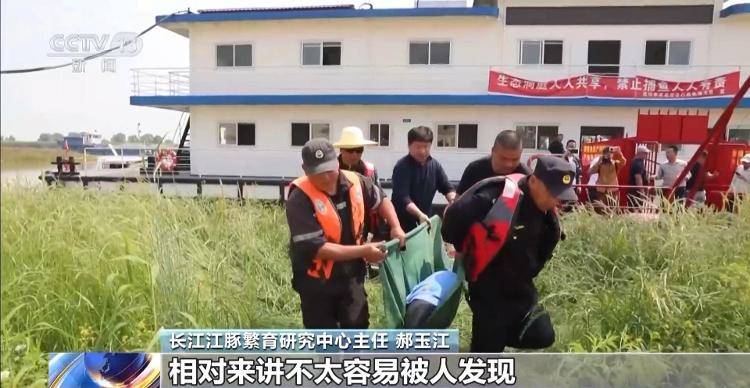 保护区里的“疯狂垂钓”屡禁不止<strong></p>
<p>宁夏电力交易中心平台</strong>！记者调查