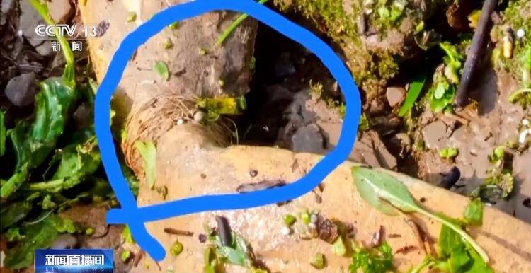 保护区里的“疯狂垂钓”屡禁不止<strong></p>
<p>宁夏电力交易中心平台</strong>！记者调查