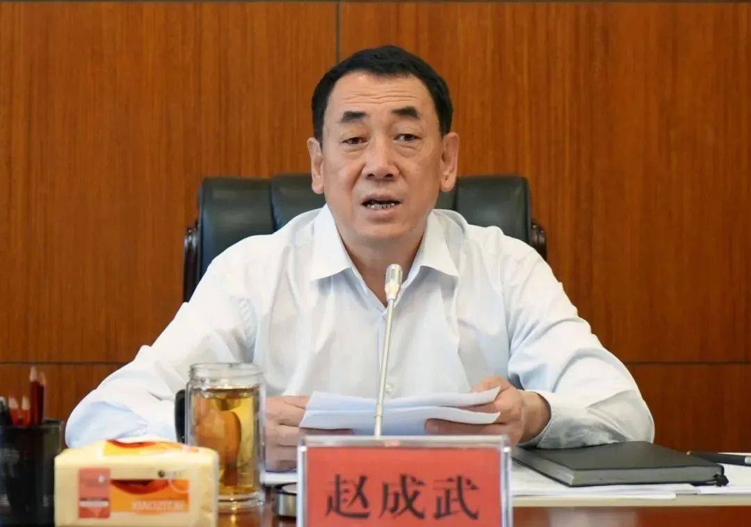 中央提级巡视时<strong></p>
<p>宁夏电力交易中心平台</strong>，赵成武被查