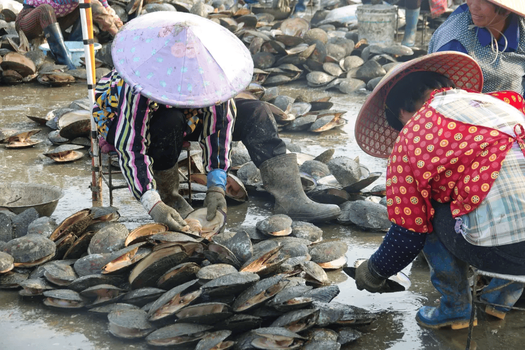 全球农业文化遗产上新<strong></p>
<p>bcex交易平台打不开</strong>，为何是它们？