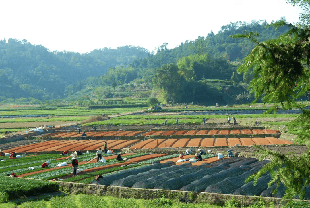 全球农业文化遗产上新<strong></p>
<p>bcex交易平台打不开</strong>，为何是它们？