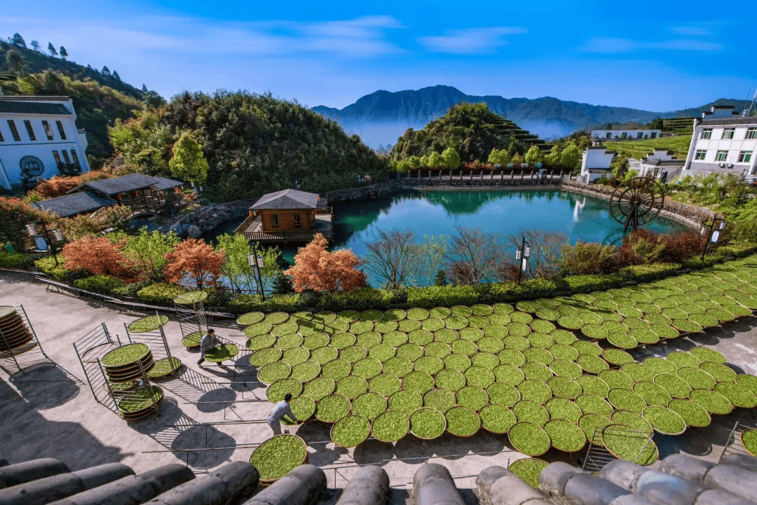 全球农业文化遗产上新<strong></p>
<p>bcex交易平台打不开</strong>，为何是它们？