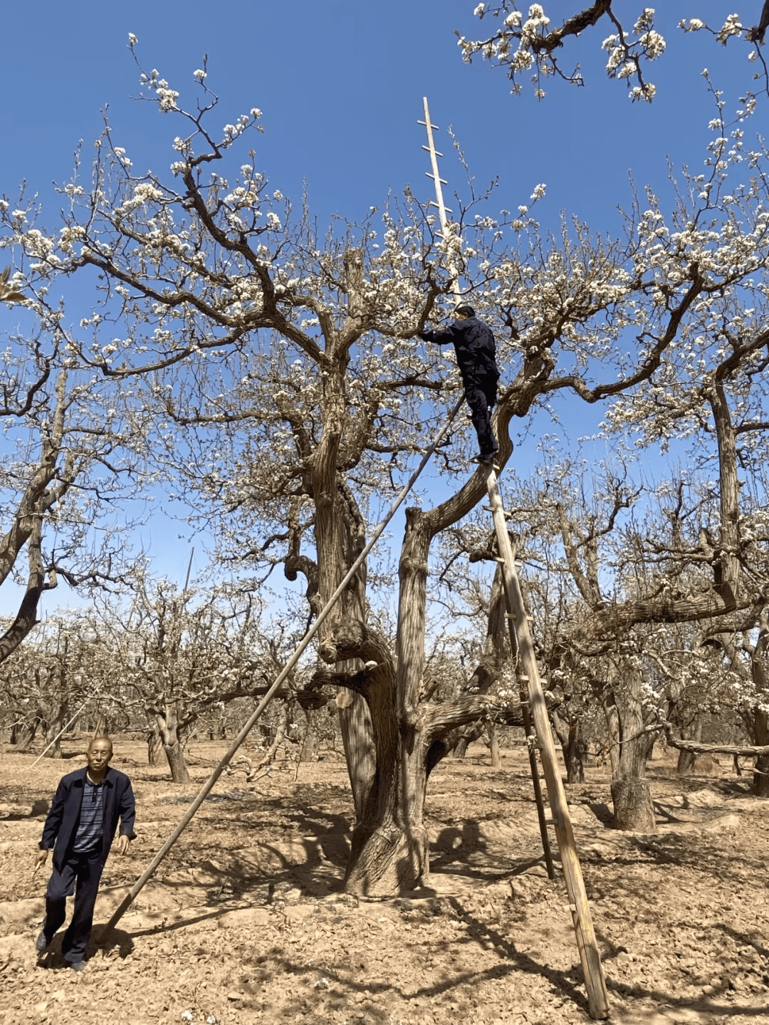 全球农业文化遗产上新<strong></p>
<p>bcex交易平台打不开</strong>，为何是它们？